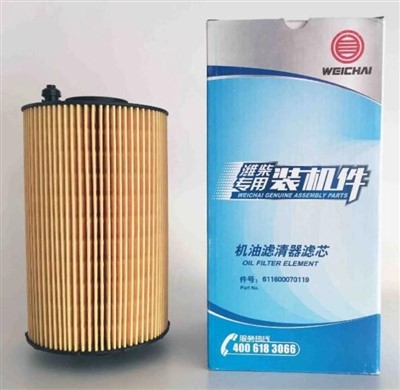 Filtre lwil idwolik nan SINOTRUK HOWO 611600070119